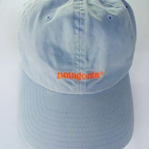 Patagonia Flex Fit Hat